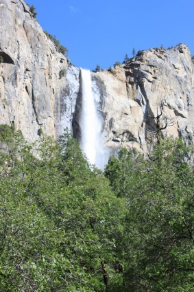 Sightseeing Tours, Travel Packages and Day Trips from Tours4Fun.com